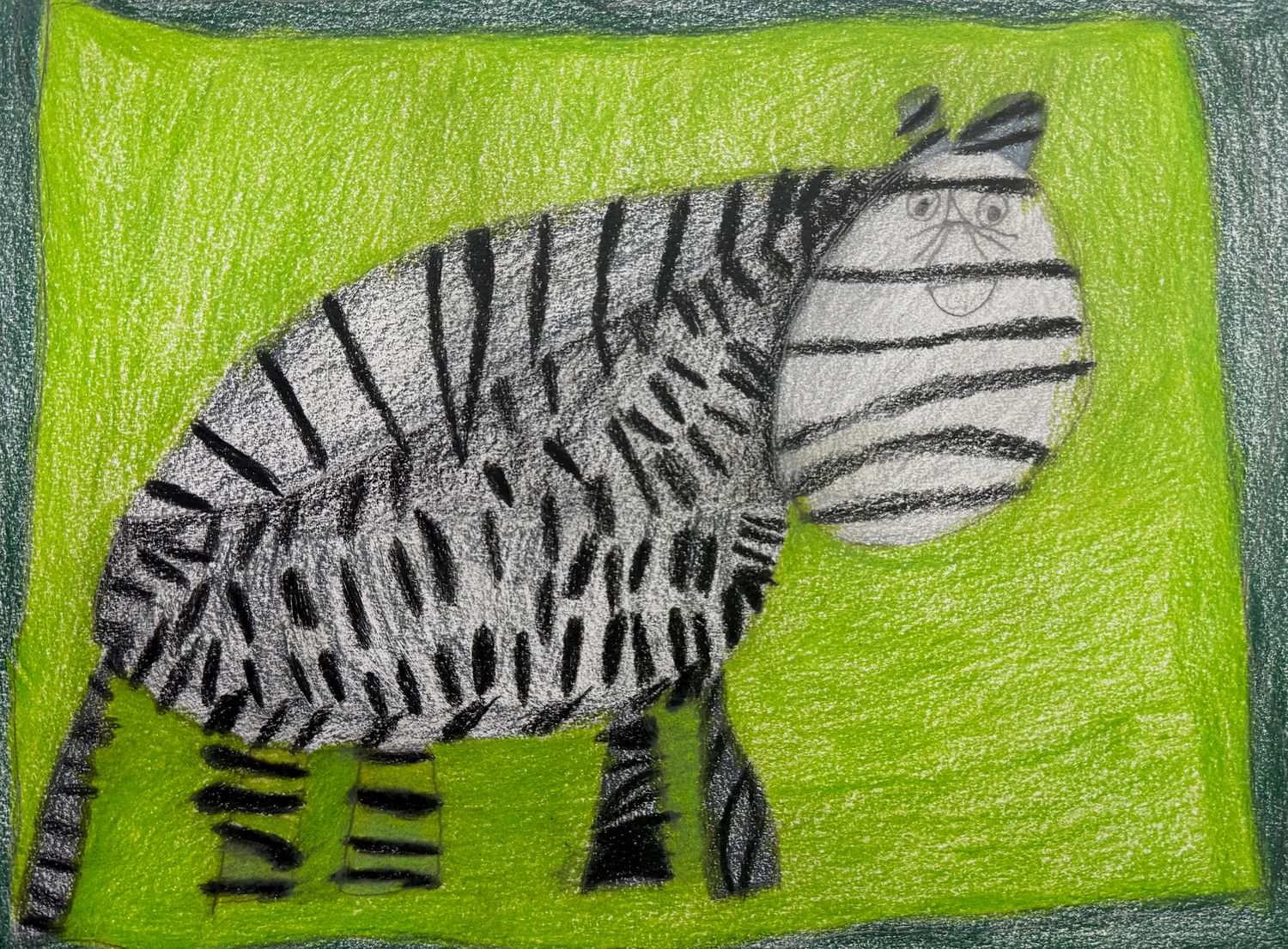 Zebra