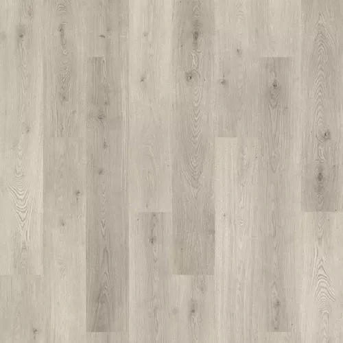 Sunshower Oak