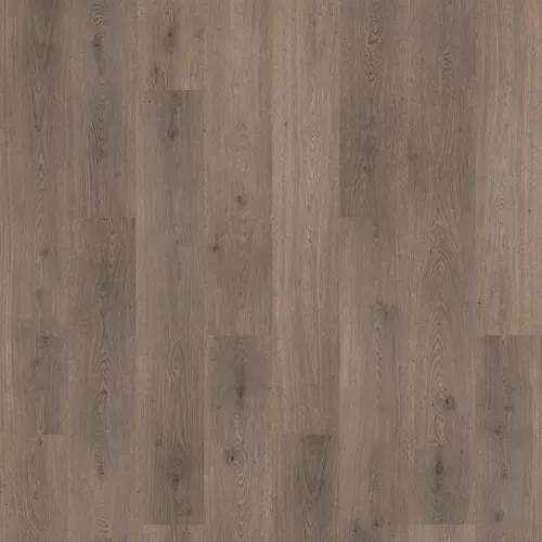Cloudy Oak