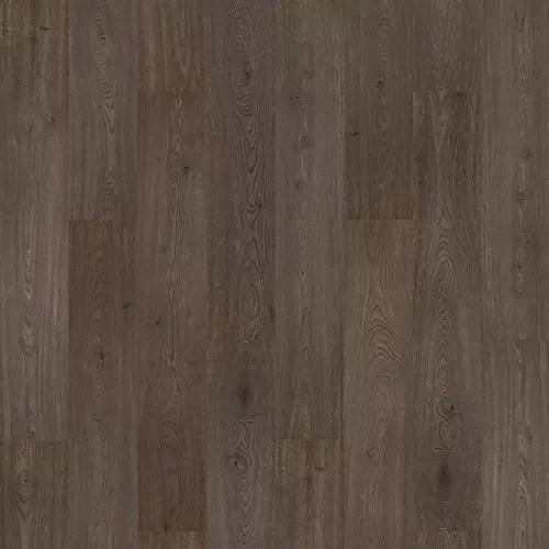 Anchor Oak