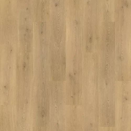 Tulip Shell Oak