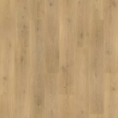 Tulip Shell Oak