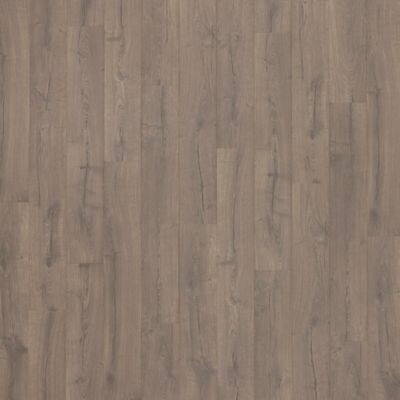 Alpine Oak