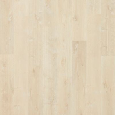 Tapioca Oak