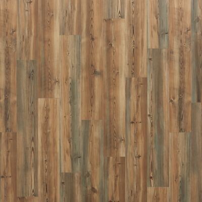 Casin Bay Pine