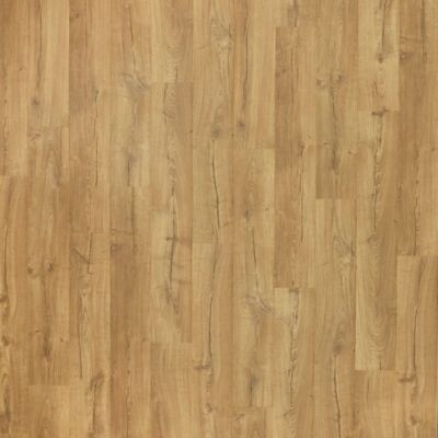 Buttertoast Oak