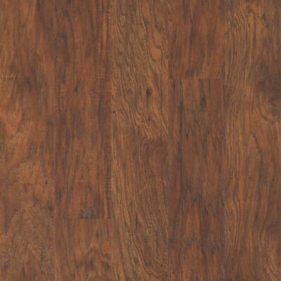 Toasted Chestnut