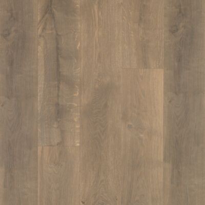 Barrel Oak