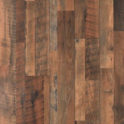 Restoration Oak
