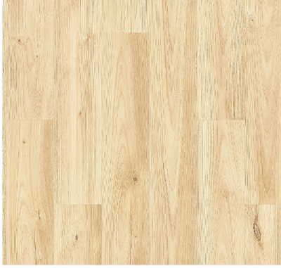Sand Chestnut
