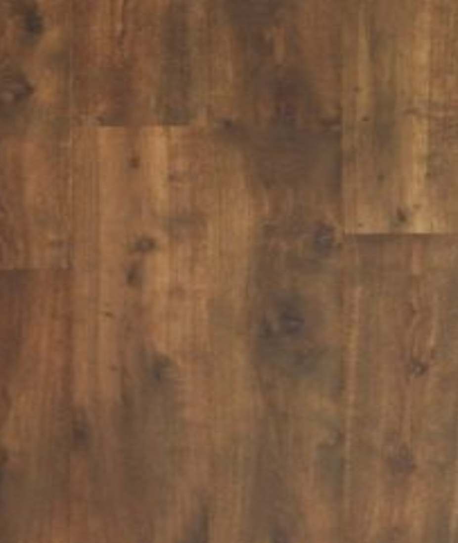 Rain Forest Oak