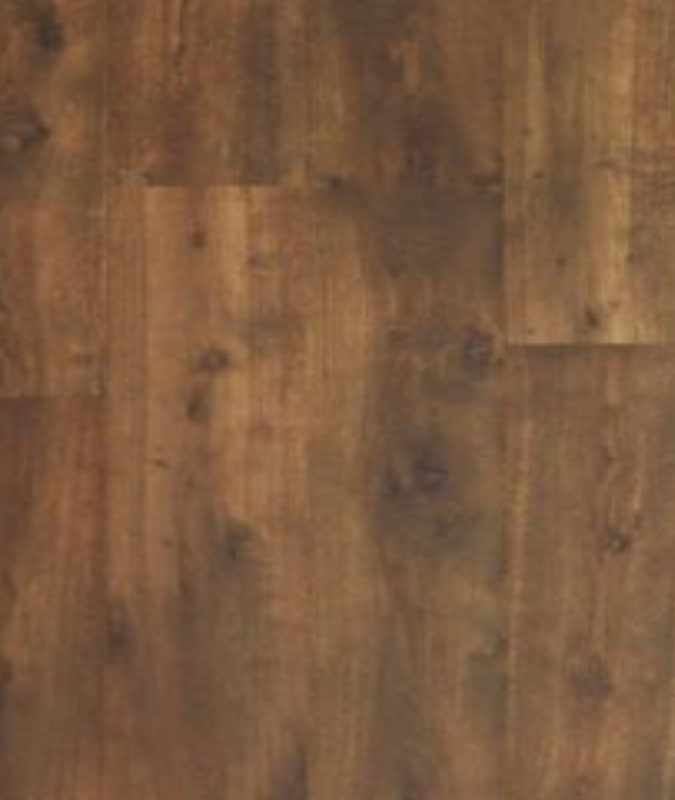 Rain Forest Oak