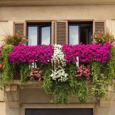 Na balkon (zwisające)