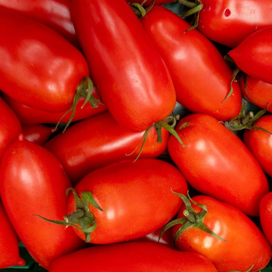 Pomidor włoski San Marzano