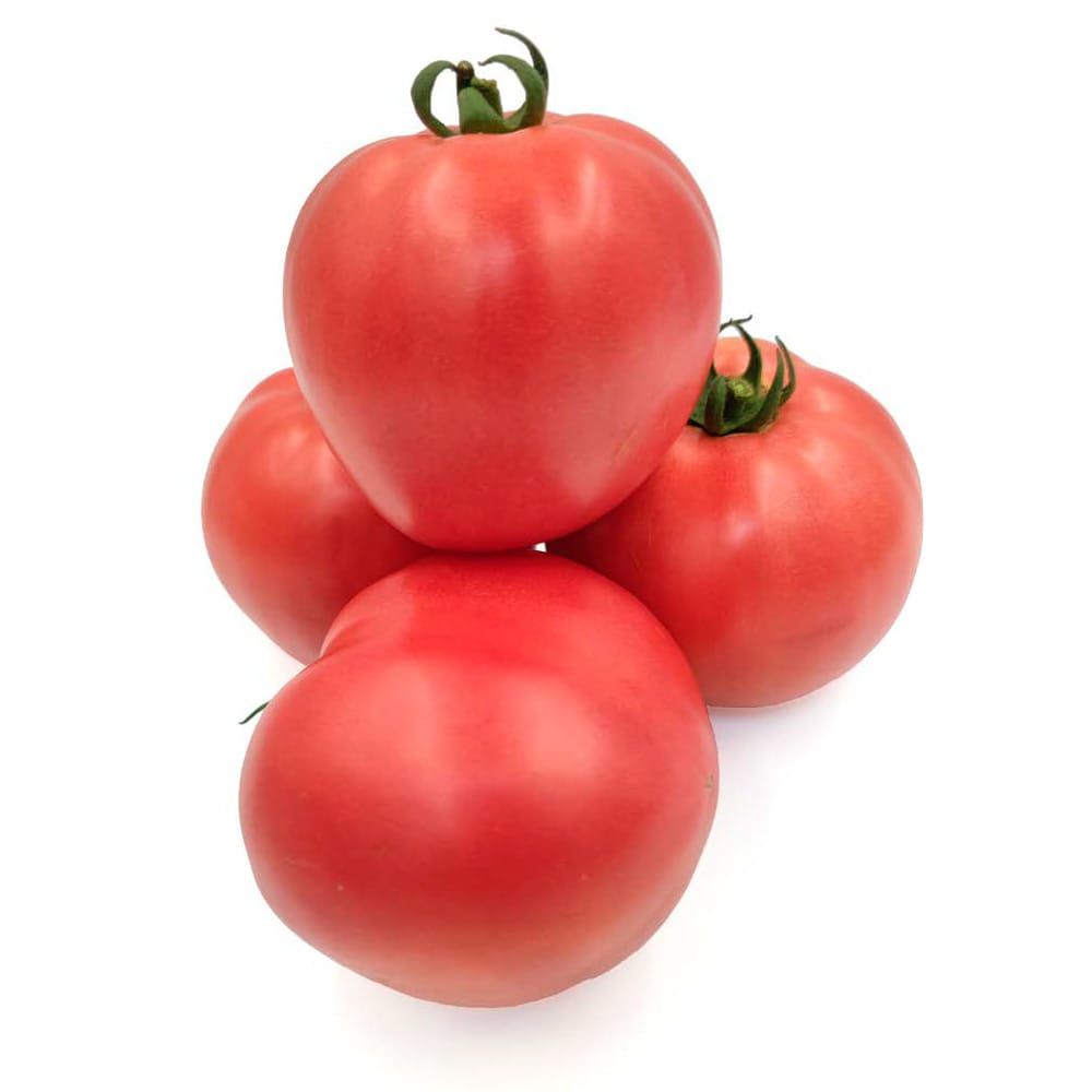 Pomidor malinowy 'Pink King' rozsada