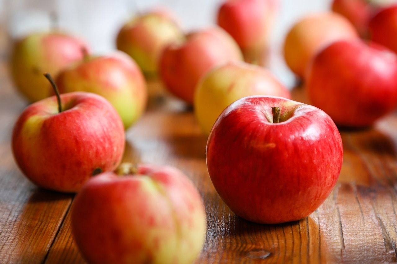 Jabłoń &#39;Champion Szampion&#39; Malus domestica