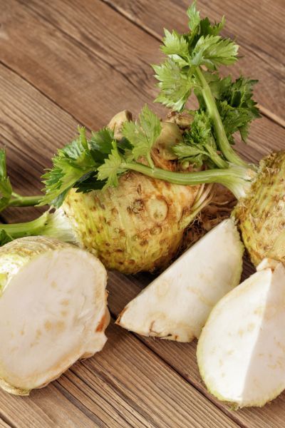 Seler korzeniowy sadzonki