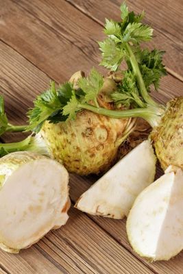 Seler korzeniowy sadzonki