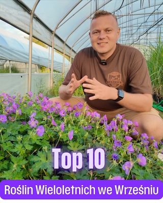 TOP 10 roślin wieloletnich na wrzesień | Okiem Ogrodnika