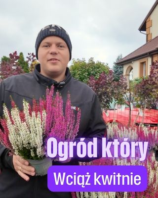 🌸 Ogród, który wciąż kwitnie w październiku – TOP 10 roślin wieloletnich!