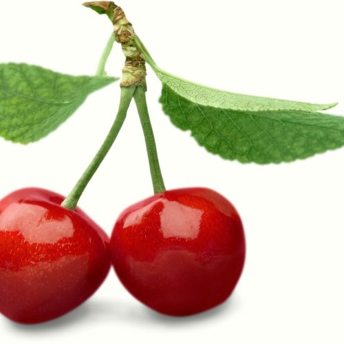 Wiśnia 'Groniasta' Prunus cerasus