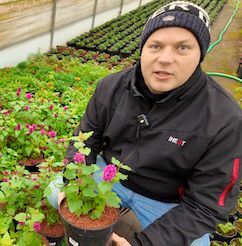 10 Najpiękniejszych Roślin Wieloletnich na Listopad- Okiem ogrodnika #12