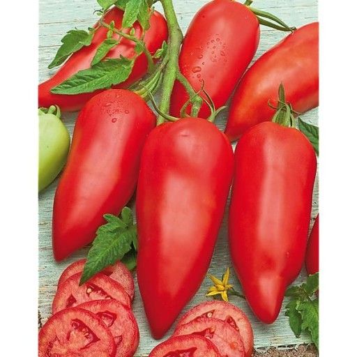 Pomidor paprykowy francuski 'Cornabel'