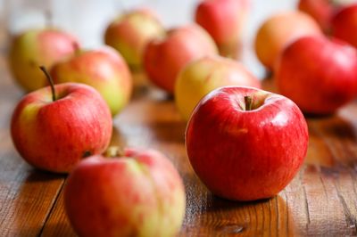Jabłoń 'Cortland' Malus domestica