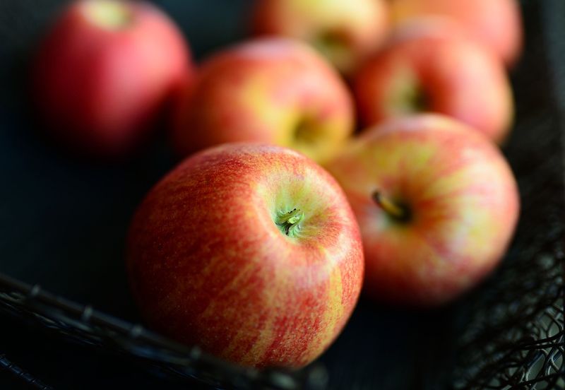 Jabłoń 'Grafsztynek Prawdziwy' Malus domestica