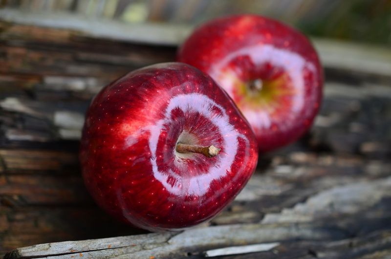 Jabłoń 'Red Delicious' Malus domestica