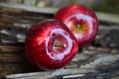 Jabłoń 'Red Delicious' Malus domestica