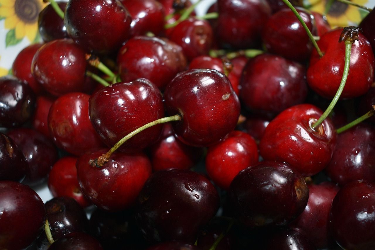 Czereśnia 'Lepins' Prunus avium