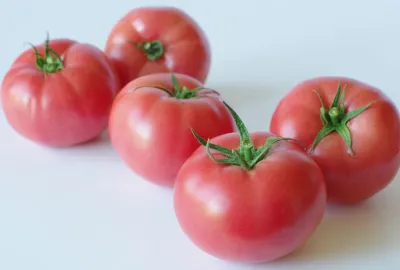 Pomidor malinowy 'Laora'