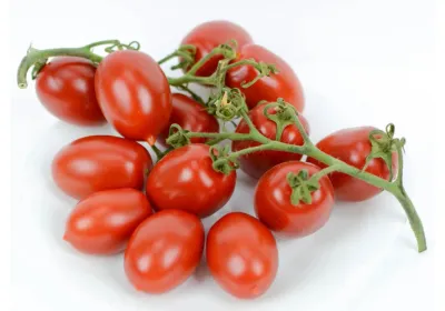 Pomidor włoski koktajlowy 'Mini Datterino'