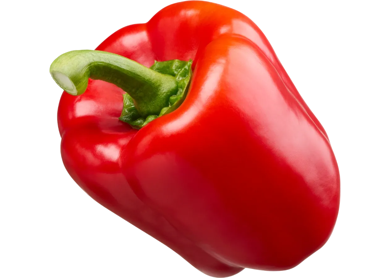 Papryka czerwona 'Tosca Rosso'