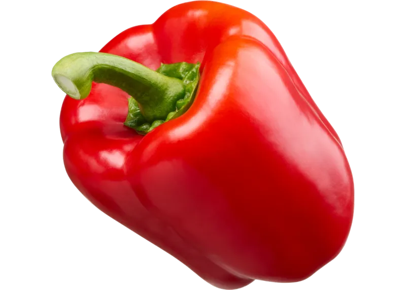 Papryka czerwona 'Tosca Rosso'