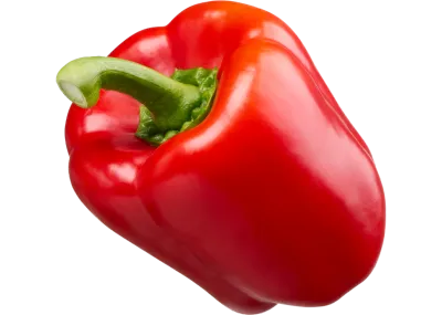 Papryka czerwona 'Tosca Rosso'