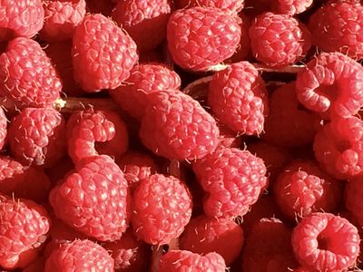 Malina 'Heritage' Rubus idaeus