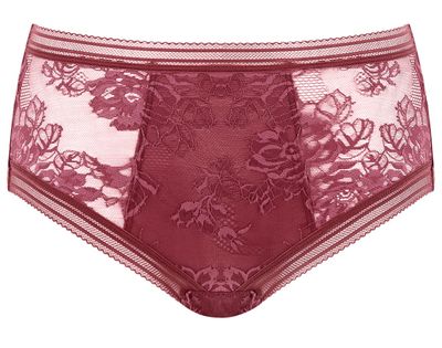 Fantasie Fusion Lace slip rosewood