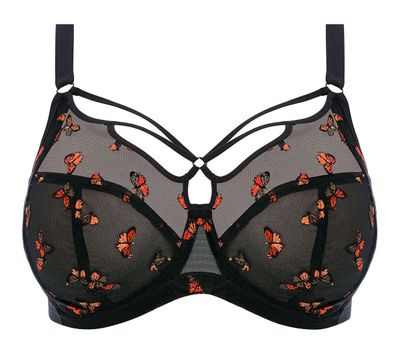 Elomi Sachi plunge beugel bh