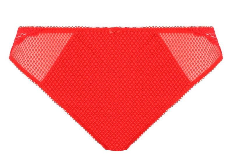 Elomi Charley brazilian salsa