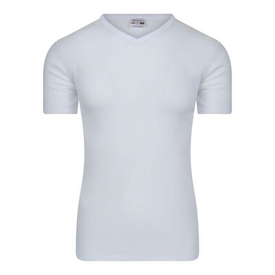 Beeren heren T-shirt V-hals