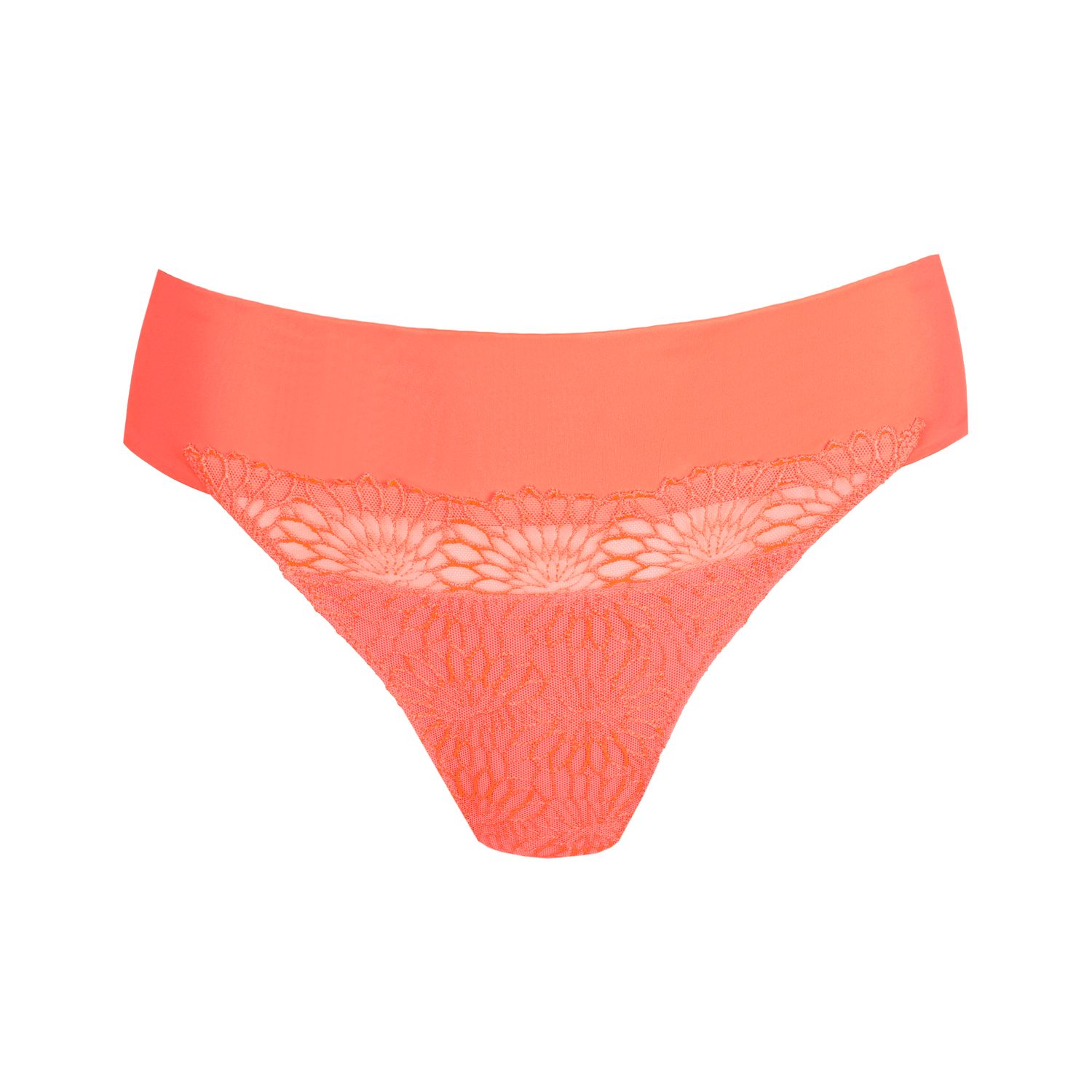 Prima Donna Sophora string spritz