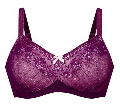 Anita Car Rosemary prothese bh purple