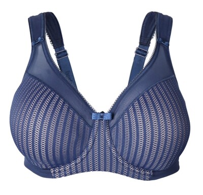 Berlei Beauty stripe minimizer dark navy