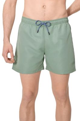 Ysabel Mora Basic zwemshort alpine green