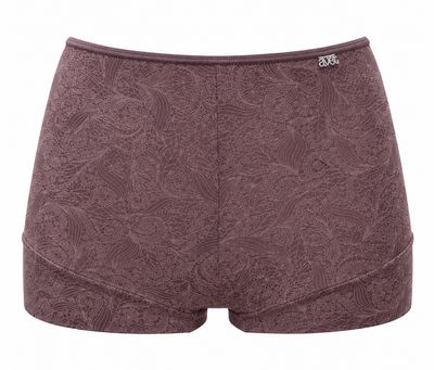 Avet Barroco boxer bruin
