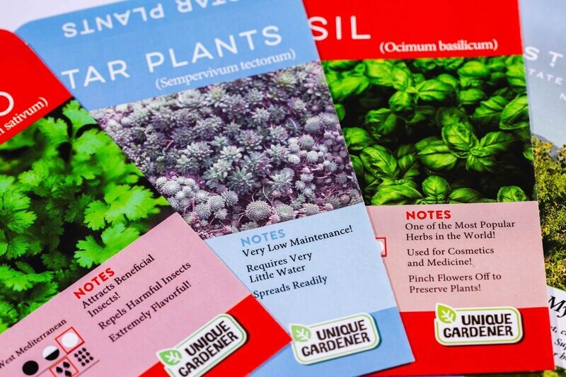 Seed Packets: Custom Order