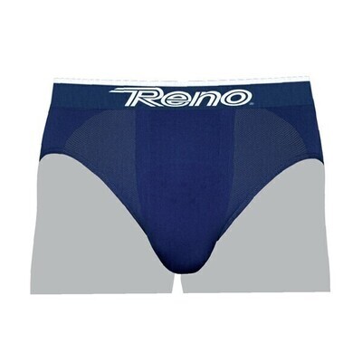 Briefs