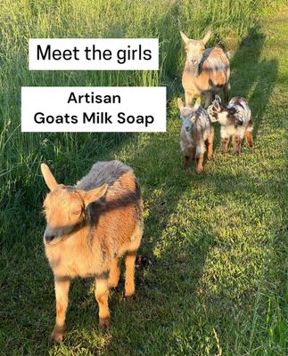 Artisan Goats Milk Soaps